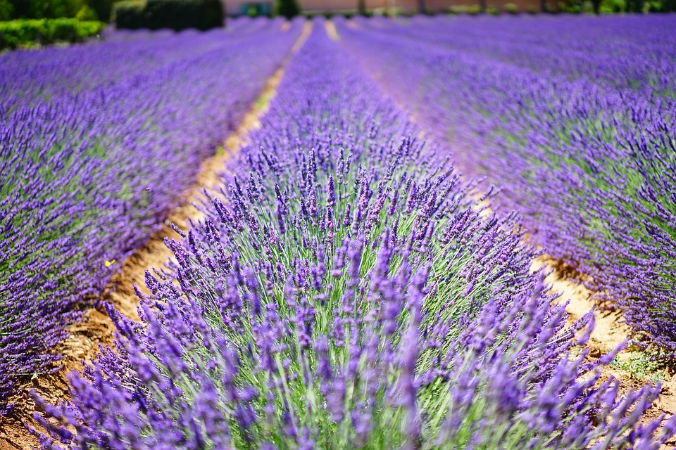 Partir à la découverte de la Côte d’Azur